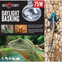 Żarówka Dzienna Grzewcza Daylight Basking Spot 75W