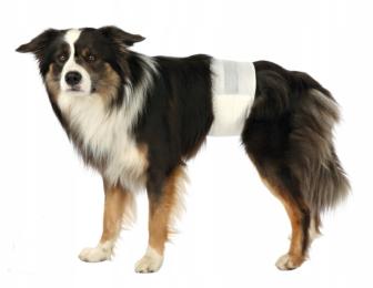 Pieluchy pampersy psa samca Barry 46-60 12 szt. M