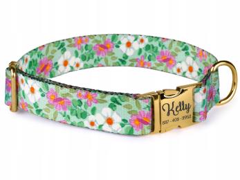 Obroża dla psa w Zielone pole z Imię rozmiar L