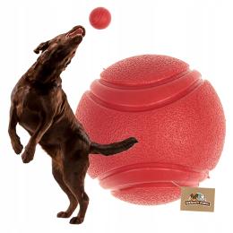 Zabawka dla psa piłka Lana twarda i mocna Pełna W Środku nie piszczy L-7 cm