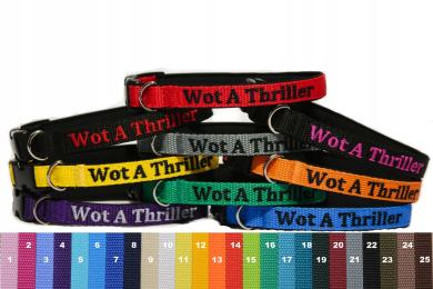 Adresówka Obroża, z imieniem, z telefonem. Zakres regulacji 27-33 cm.