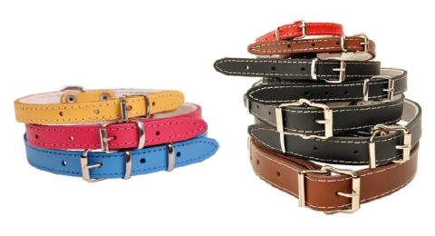 Obroża Dla Psa Skórzana 14MM/36CM Dino