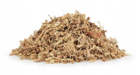 Mech Torfowiec Sphagnum Moss 50 G Dodatek Do Podloża Roślin