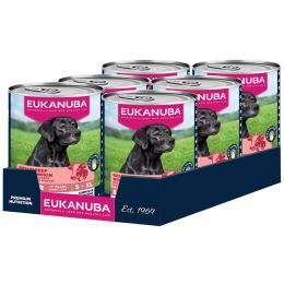 Eukanuba Senior, wołowina z dynią - 24 x 400 g