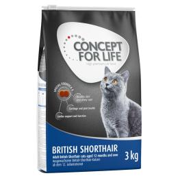 Concept for Life British Shorthair Adult - ulepszona receptura! - 3 x 3 kg