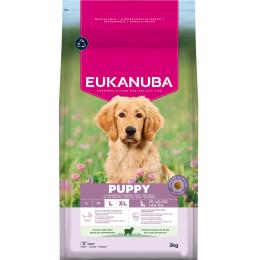 Eukanuba Premium Nutrition Puppy Large & Giant Breed, jagnięcina i ryż - 3 kg