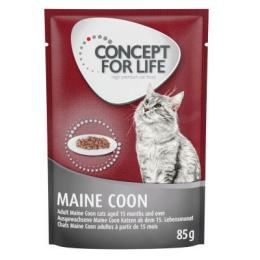 Korzystny pakiet Concept for Life, 48 x 85 g - Maine Coon Adult, ragout