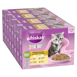 Megapakiet Whiskas Junior w saszetkach, 48 x 85 g - Wybór dań drobiowych w galarecie