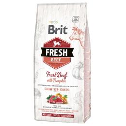 Brit Fresh Puppy Large, wołowina z dynią - 12 kg