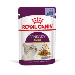 Royal Canin Sensory Smell w galarecie - 24 x 85 g