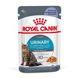 Royal Canin FCN Urinary Care w galarecie - 24 x 85 g