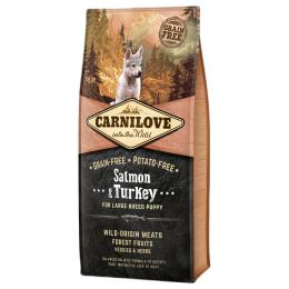 Carnilove Large Puppy Salmon and Turkey, łosoś i indyk - 2 x 12 kg
