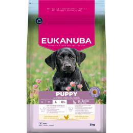 Eukanuba Premium Nutrition Puppy Large & Giant Breed, kurczak - 2 x 3 kg