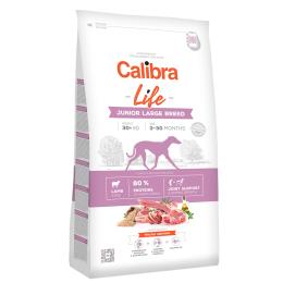 Calibra Dog Life Junior Jagnięcina dla dużych ras - wygodne opakowanie: 2 x 12 kg