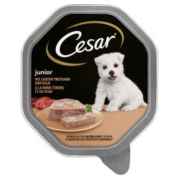 Cesar Junior tacki, 28 x 150 g - Indyk i cielęcina