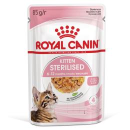 Royal Canin FHN Sterilised Kitten w galarecie - 24 x 85 g