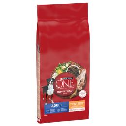 Purina ONE Medium/Maxi Adult, kurczak - 2 x 12 kg