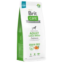 Dwupak Brit Care Grainfree - Adult Large Breed, łosoś i ziemniaki, 2 x 12 kg