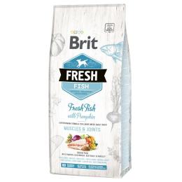 Brit Fresh Adult Large, ryba z dynią - 2 x 12 kg