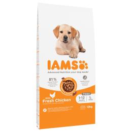IAMS Advanced Nutrition Puppy Large, kurczak - 12 kg