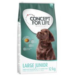 Concept for Life Large Puppy & Junior - 2 x 12 kg