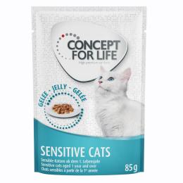 Concept for Life Sensitive Cats w galarecie - 24 x 85 g