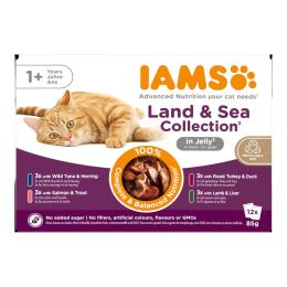 Pakiet mieszany IAMS Advanced Nutrition Adult, Land & Sea - W galarecie, 24 x 85 g