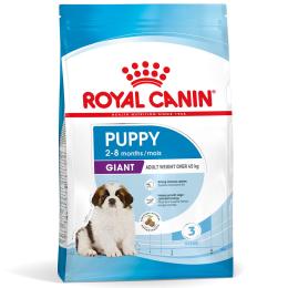 Dwupak Royal Canin Giant - Giant Puppy, 2 x 15 kg