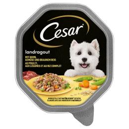 Cesar w tackach, 14 x 150 g - Landragout, kurczak z warzywami i brązowym ryżem