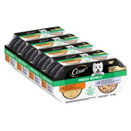 Cesar Fresh Bowls - Kurczak i kaczka w sosie (24 x 85 g)