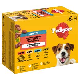 Pakiet Pedigree Adult w saszetkach - Wybór mieszany w galarecie (4 smaki), 24 x 100 g