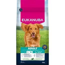 Eukanuba Premium Nutrition Adult Large & Giant Breed, jagnięcina i ryż - 2 x 12 kg
