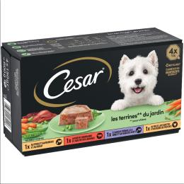 Cesar Classic Selection, pakiet mieszany - Garten terrine, 24 x 150 g
