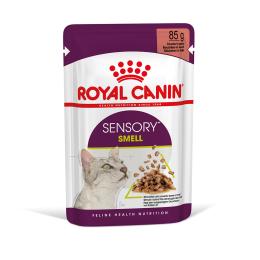 Royal Canin Sensory Smell w sosie - 12 x 85 g