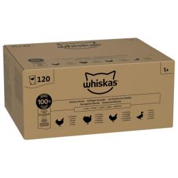 Whiskas Adult w saszetkach, wybór drobiowy w galarecie, 120 x 85 g - Wybór drobiowy w galarecie