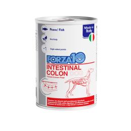 Forza10 Actiwet Intestinal Colon Mokra karma dla psów - 12 x 390 g