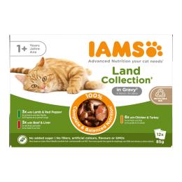 IAMS Advanced Nutrition Adult, mięsne smaki w sosie - 12 x 85 g