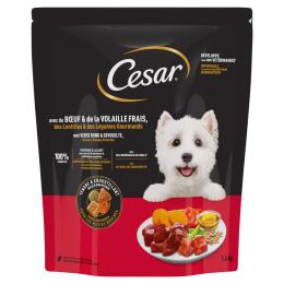 Cesar Adult z wołowiną, drobiem i warzywami - 1,4 kg