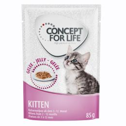 Concept for Life Kitten w galarecie - 12 x 85 g