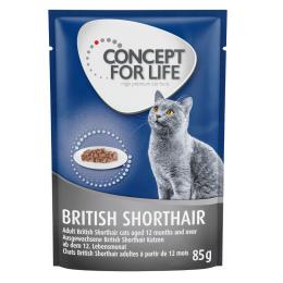 Korzystny pakiet Concept for Life, 48 x 85 g - British Shorthair Adult, ragout