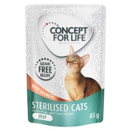 Korzystny pakiet Concept for Life, 48 x 85 g - Sterilised Cats w galarecie, łosoś - bez zbóż