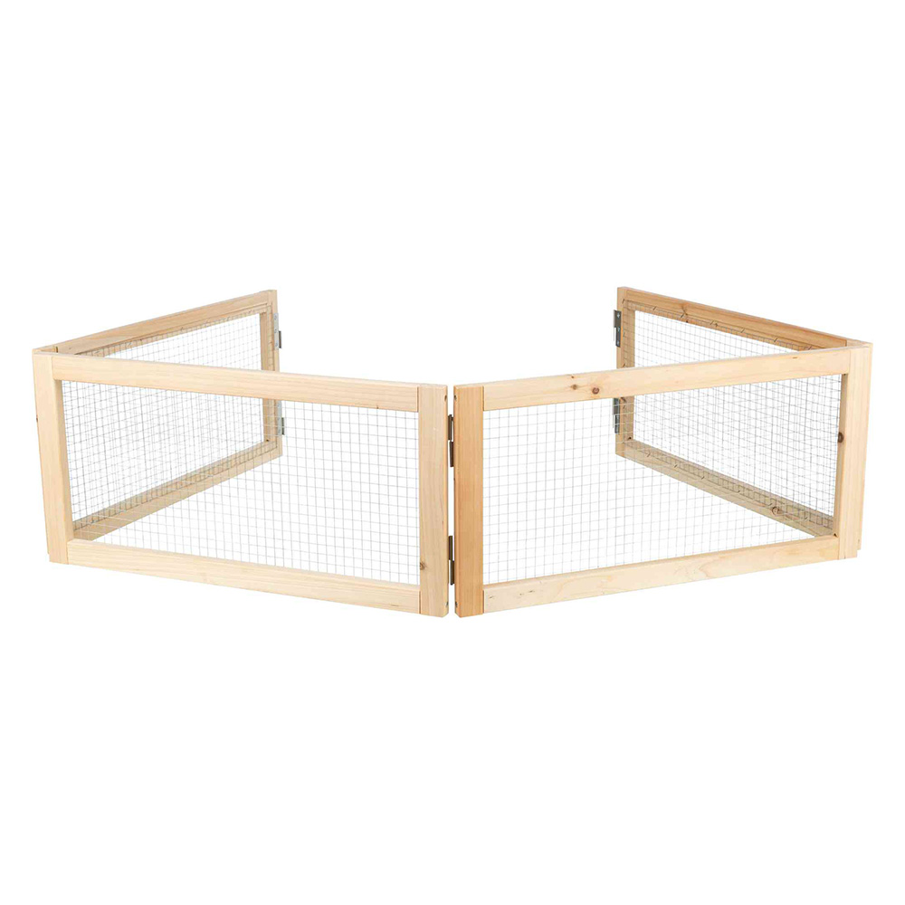 Dla świnek morskich