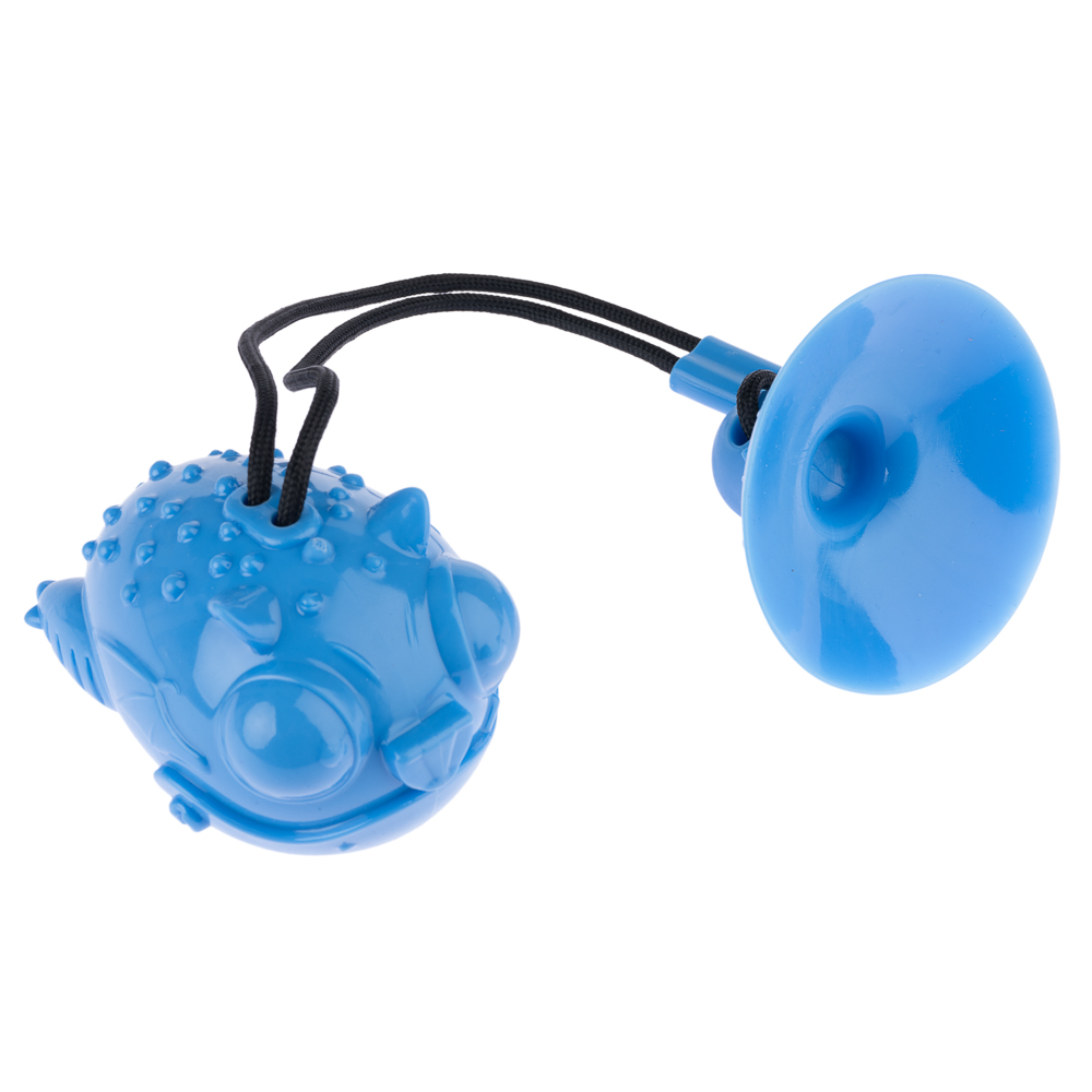 Inteligentne zabawki