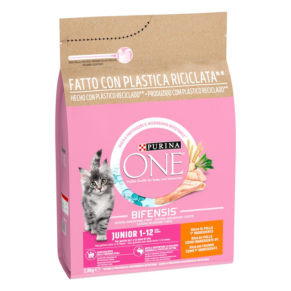 PURINA ONE Junior