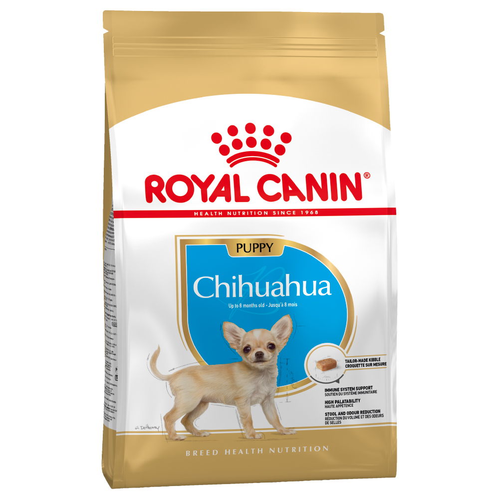 Chihuahua
