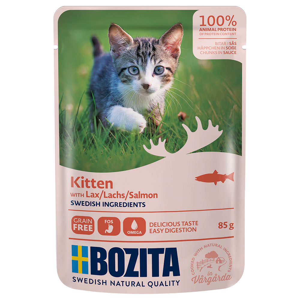 Bozita Kitten