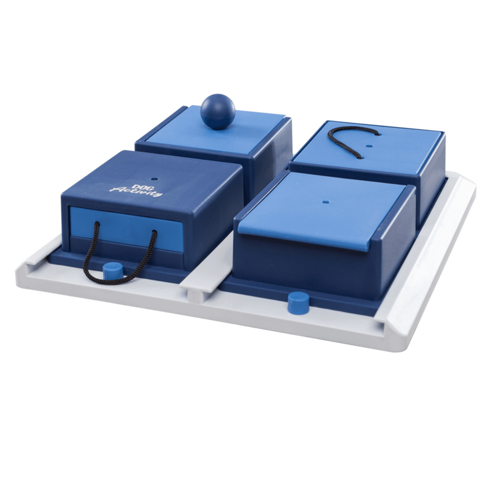 Zabawki na inteligencję