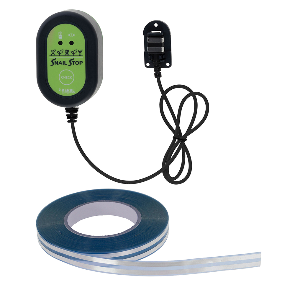 Dzikie zwierzęta i owady